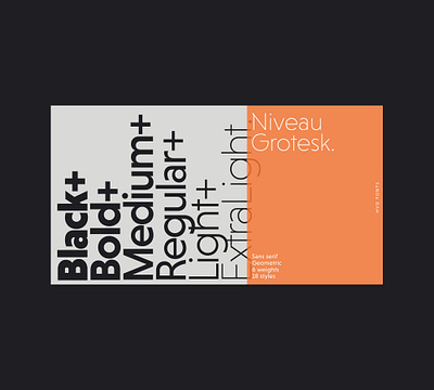 Niveau Grotesk design font fonts geometric hvd sans sans serif type design typeface typography