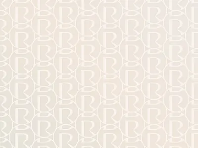 Body Restore / pattern body br brand branding cosmetics design designer elegant graphic design identity illustration logo logodesigner mark pattern restore subtle symbol ui vector