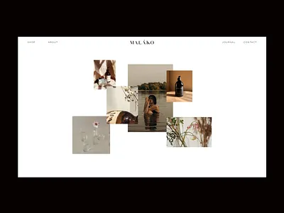 Skincare E-commerce Website Template blog design e commerce e shop ecommerce ethical business organic template web web design web development webflow wordpress wordpress theme