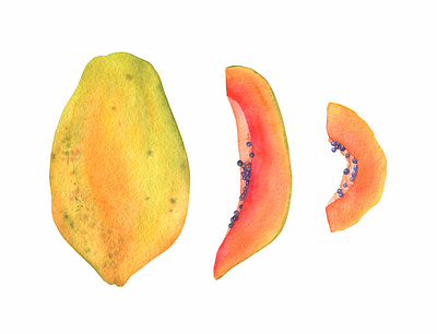 Hand drawn papaya with slices fabric pattern hand drawn illustration painted pattern tropical watercolor