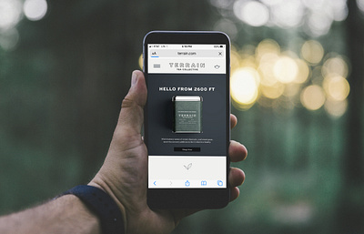 Terrain Website on Mobile branding design minimal packaging typography webdesign website