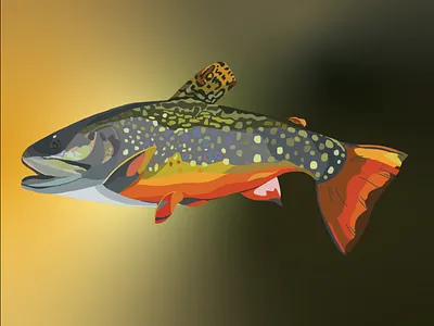 Brown Trout sticker design fly fishing graphic design sticker illustration trout