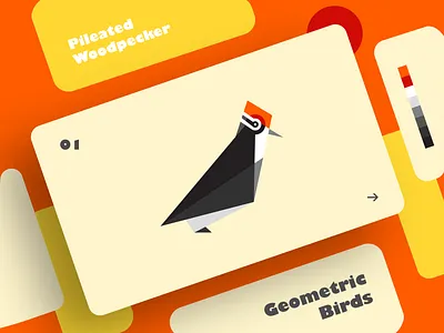 Pileated Woodpecker | Geometric Birds art bird clean colors creative design dribbble effect flat geometry graphic design illustration illustrator shadow shot typography ui ux