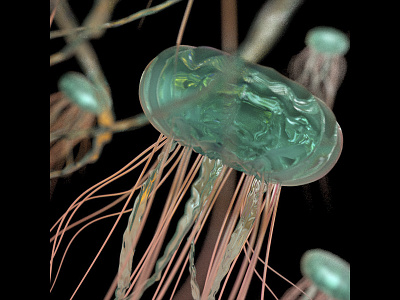 Jellyfish 3d cinema 4d jellyfish