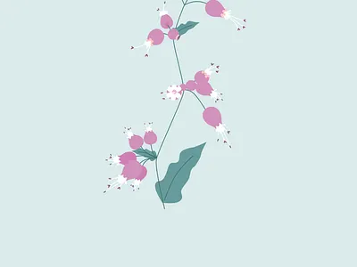 A flower outside my house flower summer