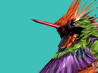 Short-crested coquette animal atoyac bird bird illustration brush danger endangered endangeredspecies feather hummingbird illustration mexico nature onemilliononemonth photoshop texture