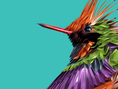 Short-crested coquette animal atoyac bird bird illustration brush danger endangered endangeredspecies feather hummingbird illustration mexico nature onemilliononemonth photoshop texture