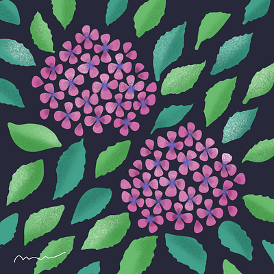 hydrangea アジサイ flower flower illustration illustration illustration art ipadpro painting procreate イラスト スケッチ