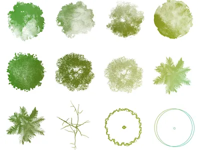 tree brushes. abr architecture brush brushes graphic design landscape architecture photoshop brush tree brush trees