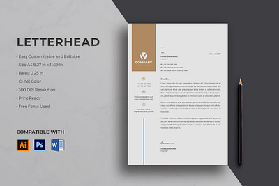 Letterhead clean resume creative resume curriculum vitae cv template download letterhead letterhead design modern modern resume professional resume resume template template