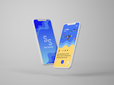 Sea Scholar app design ui ux