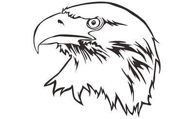 Eagle Head With Line art style animal animal art animal illustration animals bird bird icon birds design eagle eagle head eagles illustration line art vector