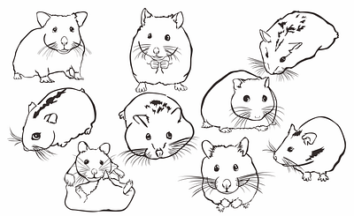 Hamster with line art style animal animal illustration cute animal cute art cute illustration design hamster illustration line art mouse pet