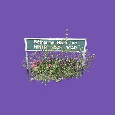 Ninth Lock Road (Bóthar an Naoú Loc) illustration streetsigns