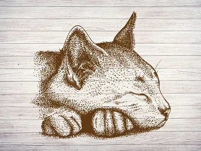 Hand Drawn Animal of Cat animal art cartoon cat cute domestic doodle drawing drawn funny hand happy illustration isolated kitten kitty pet silhouette sketch style