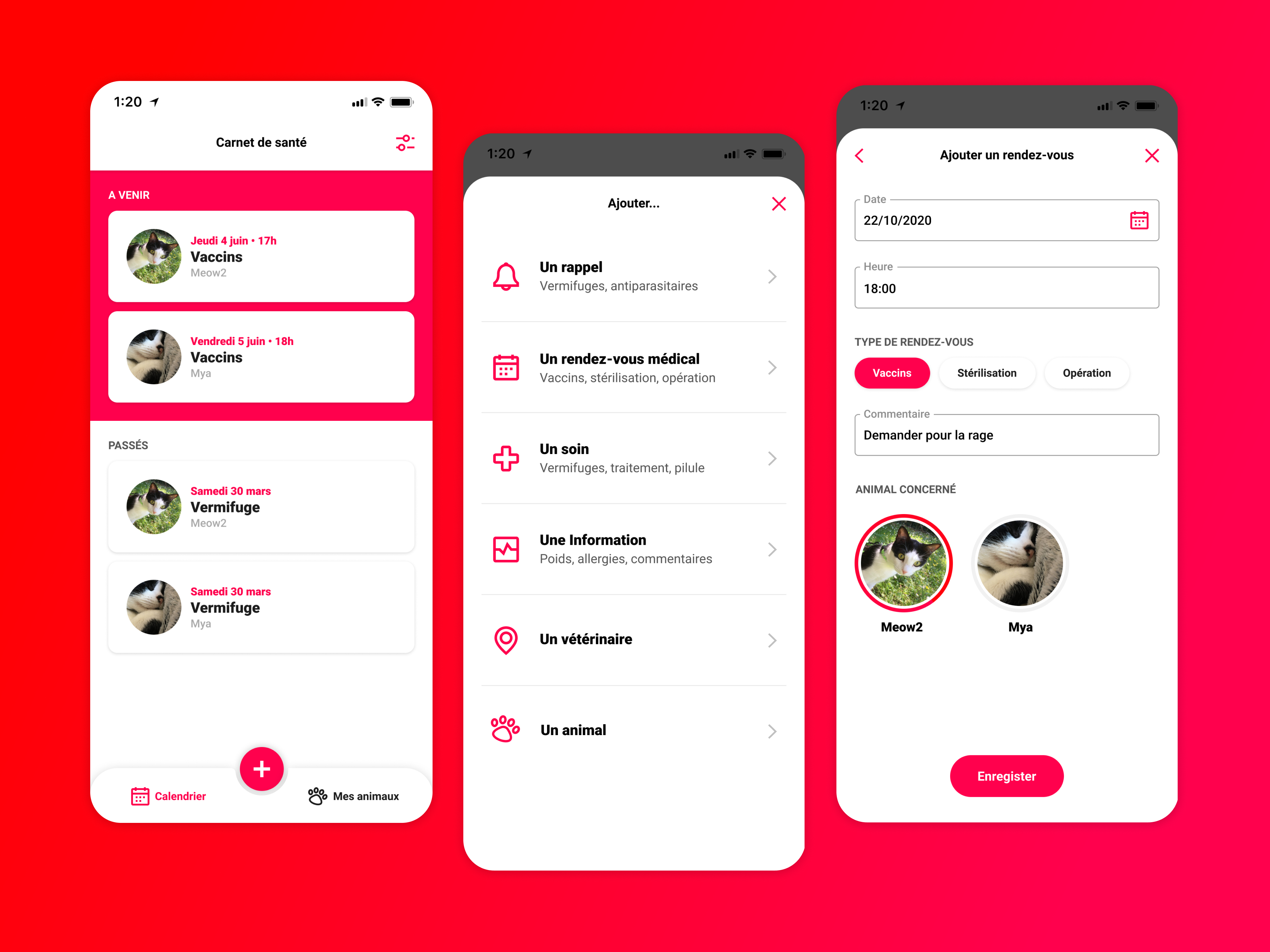 Example of Mobile application health book for animals