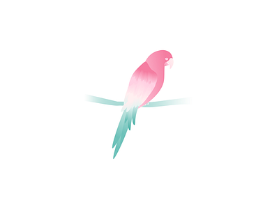 Macaw affinity design affinity designer bird color palette contest design illustration macaw vector