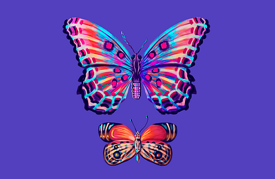 butterfly butterfly color illustration painting photoshop