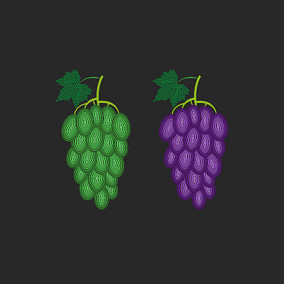 Bunch grapes food Illustration art design food illustration fruit illustration grape grape berries grapefruit grapes grapevine graphic design green grapes illustration leaf line art linear lineart vector