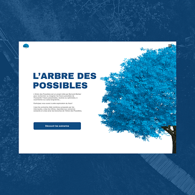 L'arbre des possibles blue books concept design graphic design redesign ui