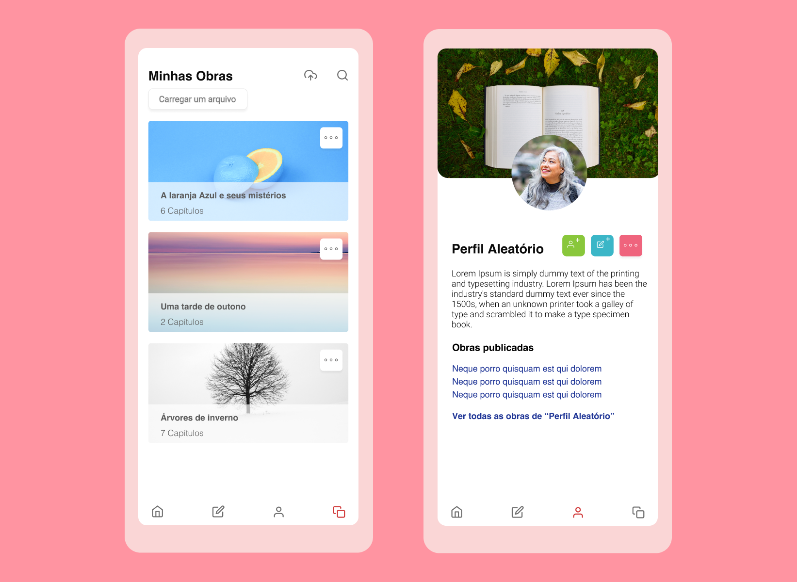 Example of Escritores contemporâneos