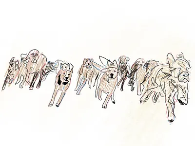 Dogs animal illustration dog dogs illustration