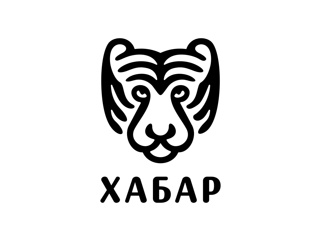 Khabarovsk by SAIAPIN ANDREI on Dribbble