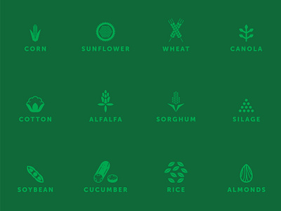 Crop Icons almonds canola corn cotton crop icons crops cucumber farm farmer farming farming icons geometric icon rice soybean sunflower vegetables wheat