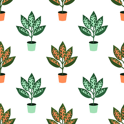 Seamless aglaonema aglaonema decorative design floral floral pattern nature pattern seamless simple surface design texture