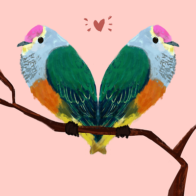 Totot (Mariana Fruit Dove) bird digital painting dove illustration love mariana islands