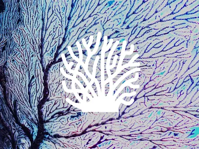 VATTEN | Icon aquatic brand identity branding branding design coral icon logo mark nature ocean sealife visual identity