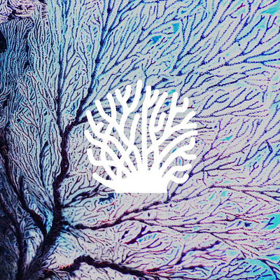VATTEN | Icon aquatic brand identity branding branding design coral icon logo mark nature ocean sealife visual identity