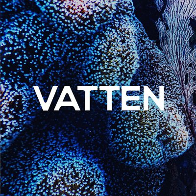 VATTEN aquatic brand identity branding branding design coral custom type logo logotype ocean sealife typography vector wordmark