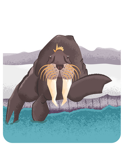 Walrus ai design graphic design illustration illustrator marine marine animal ocean vector walrus