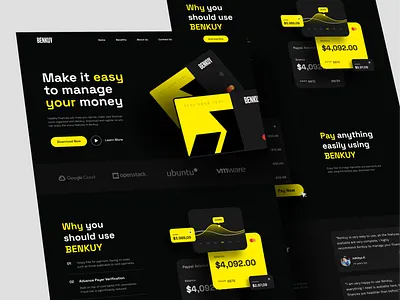 BENKUY - Finance Landing Page bank banking banking landing page finance finance landing page finance website financial financial web fintech fintect landing page landing page manage money ui uiux web web design website website design