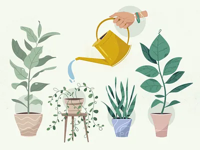 Plants art care cartoon cozy design home illustration plant vector watering