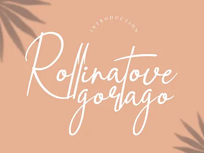 Rollinatove goraga handwriting font andikastudio branding calligraphy classy display elegant fashion feminine handwriting invitation lettered letterhead ligature product script signature stylisth wedding