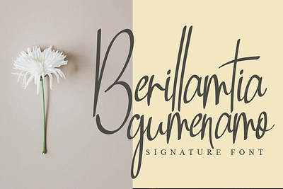 Berillamtia calligraphy font andikastudio branding calligraphy classy display elegant fashion feminine handwriting invitation lettered letterhead ligature product script signature stylisth wedding