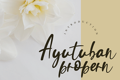 Ayutuban handwriting font andikastudio branding calligraphy classy display elegant fashion feminine handwriting invitation lettered letterhead ligature product script signature stylisth wedding