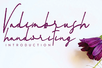 Vadimbrush script brush font andikastudio branding calligraphy classy display elegant fashion feminine handwriting invitation lettered letterhead ligature product script signature stylisth wedding