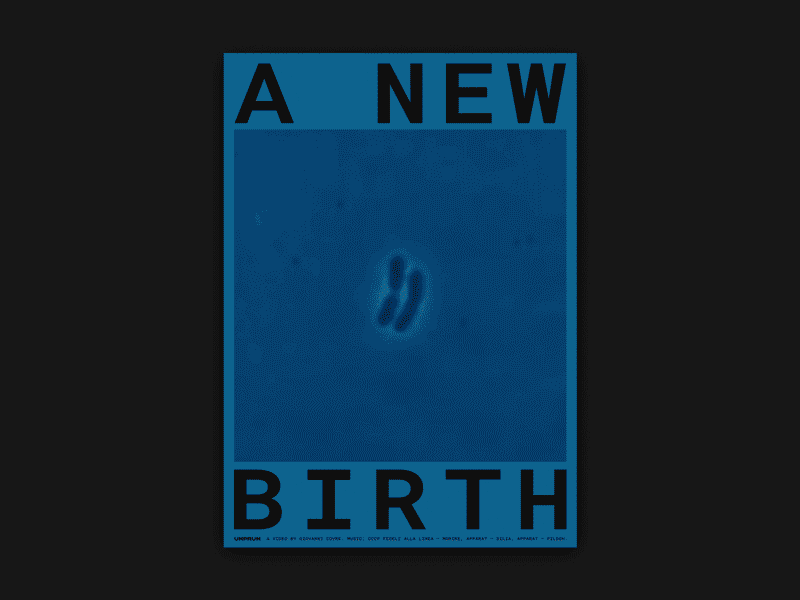 Example of A New Birth Poster