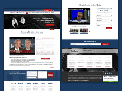 Kline & Spector website design