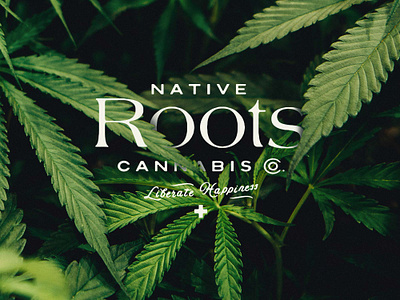 Native Roots — Unused Direction Pt. 2 branding cannabis cannabis branding first aid flower health lettering liberate happiness logo logotype marjuana native native roots roots typography vector weed weed branding weed company wellness