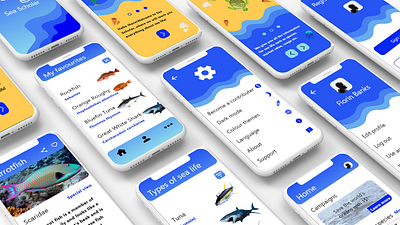 Sea Scholar app design ui ux