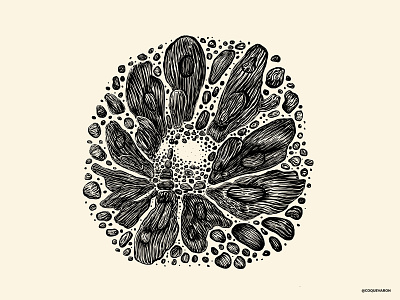 Rey Flor abstract illustraion ink organic procreate