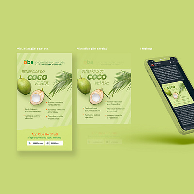 WhatsApp Art concept design greeen ui hortifruti mobile green post whatsapp whatsapp ui