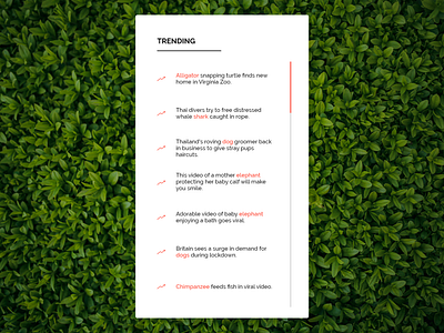 Trending @ AnimalWorld 100daysofui adobexd dailyui design ui