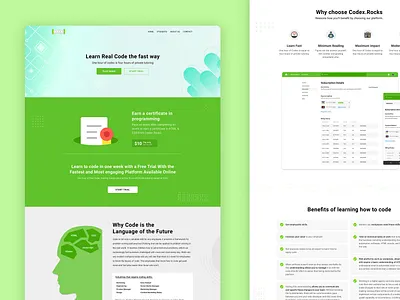 Project Redo #18 - Codex.Rocks Landing Page clean design simple ui website