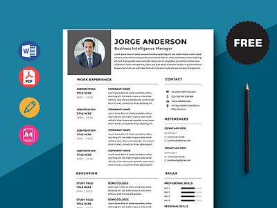 Free Business Intelligence Manager Resume Template curriculum vitae cv cv template free cv free cv template free resume template freebie freebies resume