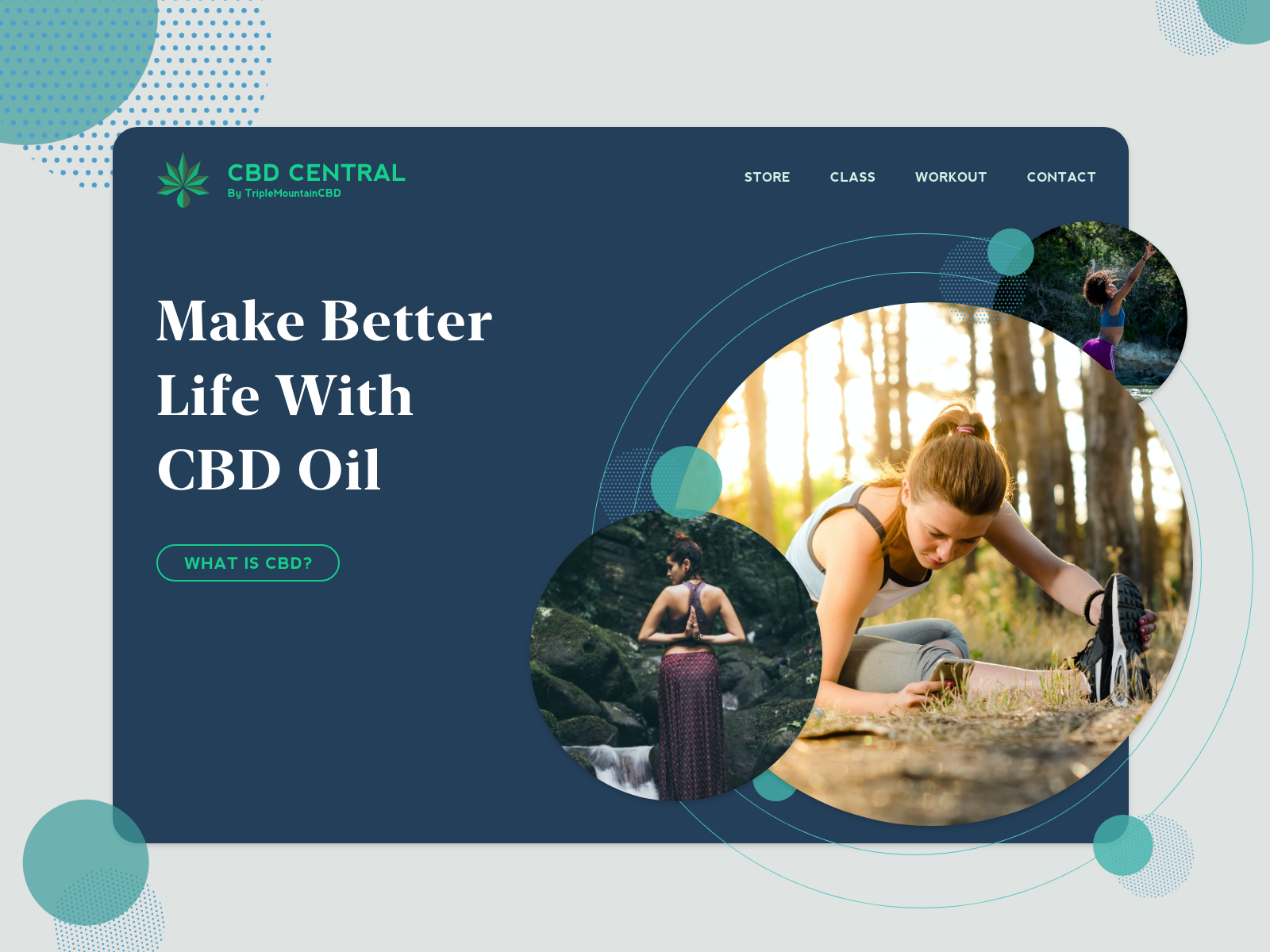 Example of CBD Oil Store website UI
